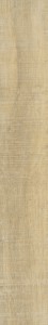 DEI75213AMW_Highlands_Light